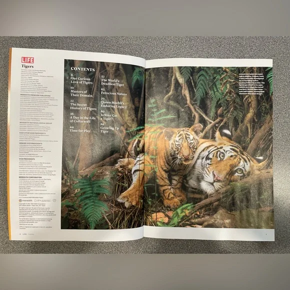 LIFE Magazine: Tigers Edition 2021 - Picture 3 of 3